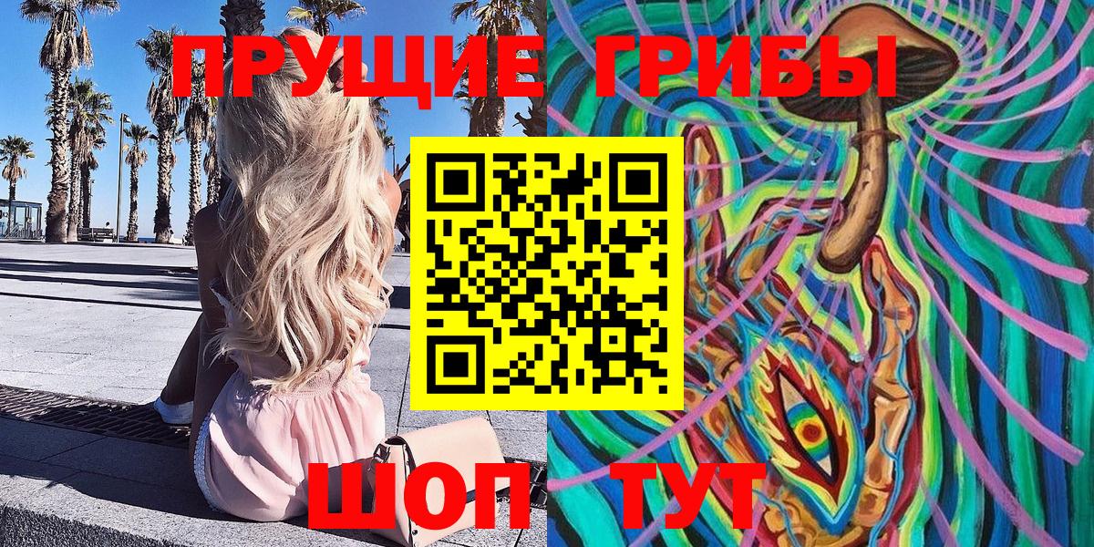 Галлюциногенные грибы ЛСД  Вход с VPN  Заводоуковск 